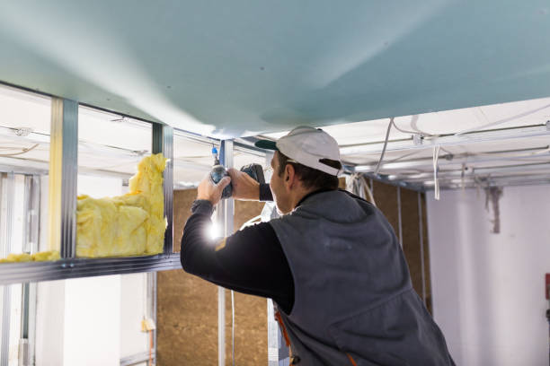 Best Types of Insulation in Willow Grove, TX