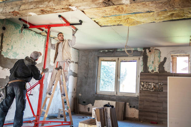 Best Insulation Installation Services in Willow Grove, TX